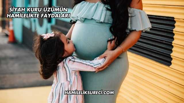 Siyah Kuru Üzümün Hamilelikte Faydaları