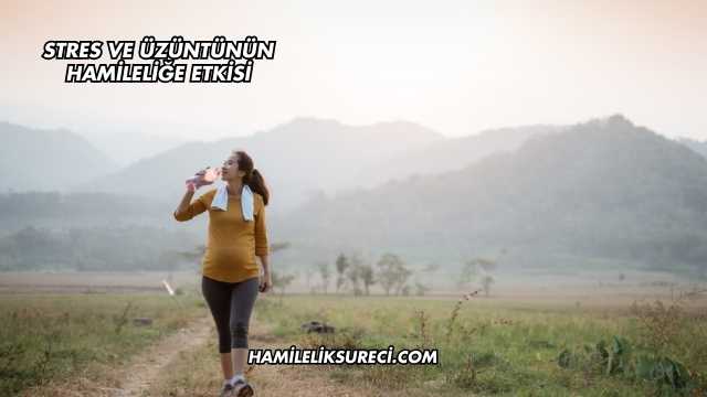 Stres Ve Üzüntünün Hamileliğe Etkisi