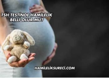 TSH Testinde Hamilelik Belli Olur mu?