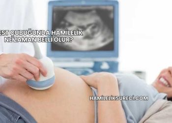 Test Çubuğunda Hamilelik Ne Zaman Belli Olur?