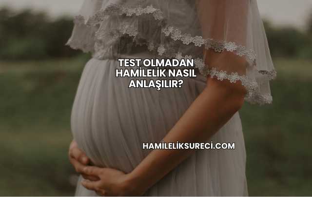 Test Olmadan Hamilelik Nasıl Anlaşılır?