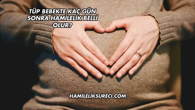 Tüp Bebekte Kaç Gün Sonra Hamilelik Belli Olur?