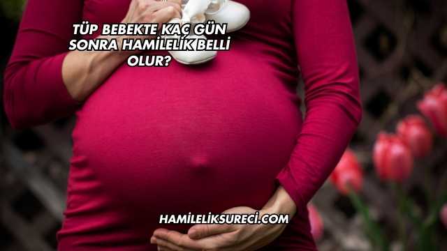 Tüp Bebekte Kaç Gün Sonra Hamilelik Belli Olur?