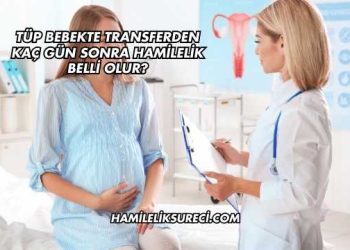 Tüp Bebekte Transferden Kaç Gün Sonra Hamilelik Belli Olur?