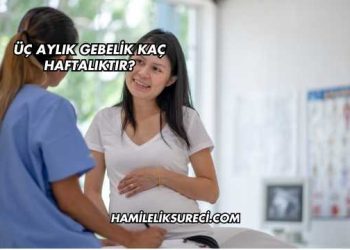 Üç Aylık Gebelik Kaç Haftalıktır?
