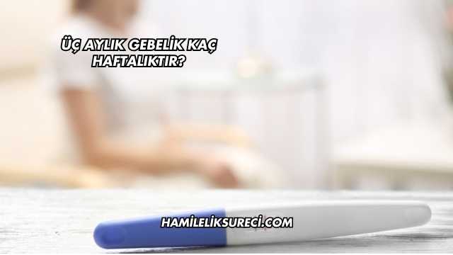 Üç Aylık Gebelik Kaç Haftalıktır?