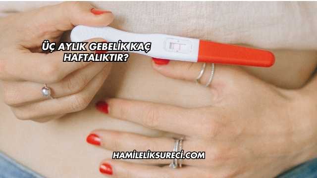 Üç Aylık Gebelik Kaç Haftalıktır?