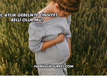 Üç Aylık Gebelikte Cinsiyet Belli Olur mu?