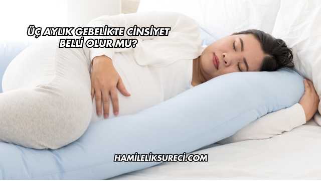Üç Aylık Gebelikte Cinsiyet Belli Olur mu?