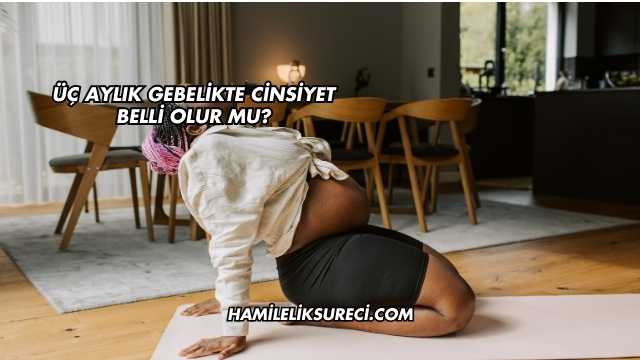 Üç Aylık Gebelikte Cinsiyet Belli Olur mu?