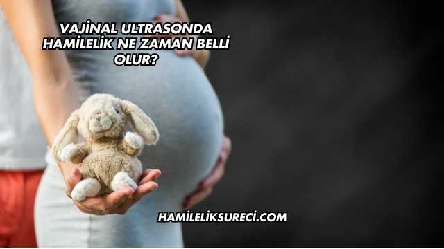 Vajinal Ultrasonda Hamilelik Ne Zaman Belli Olur?