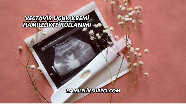 Vectavir Uçuk Kremi Hamilelikte Kullanımı