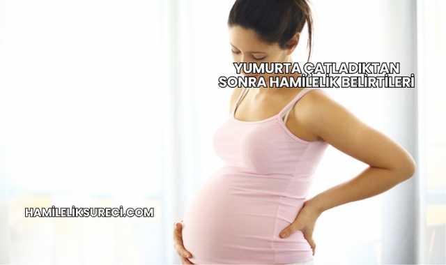 Yumurta Çatladıktan Sonra Hamilelik Belirtileri
