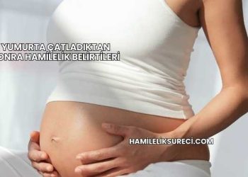Yumurta Çatladıktan Sonra Hamilelik Belirtileri