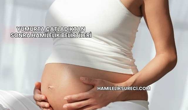 Yumurta Çatladıktan Sonra Hamilelik Belirtileri
