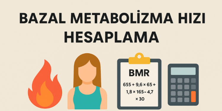 Bazal Metabolizma Hızı Hesaplama