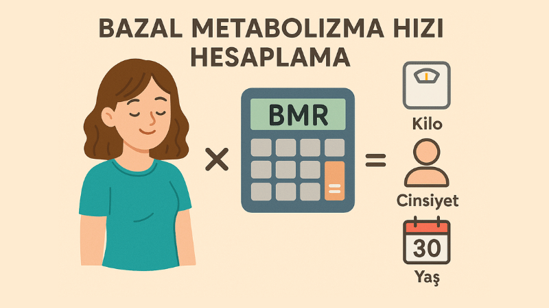 Bazal Metabolizma Hızı Hesaplama