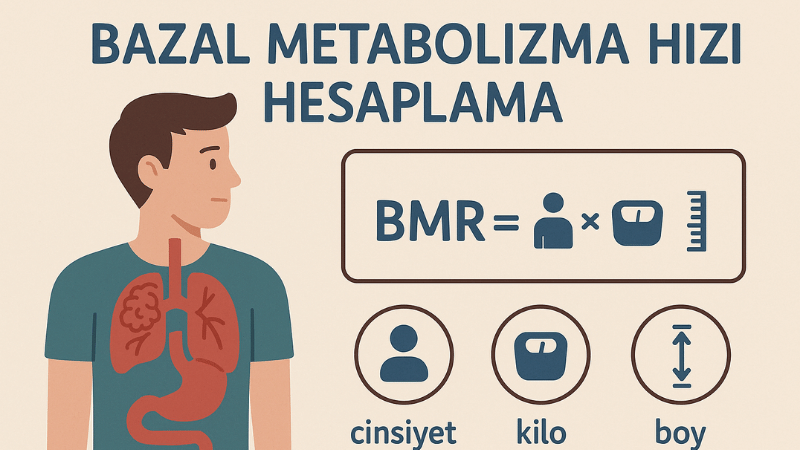 Bazal Metabolizma Hızı Hesaplama