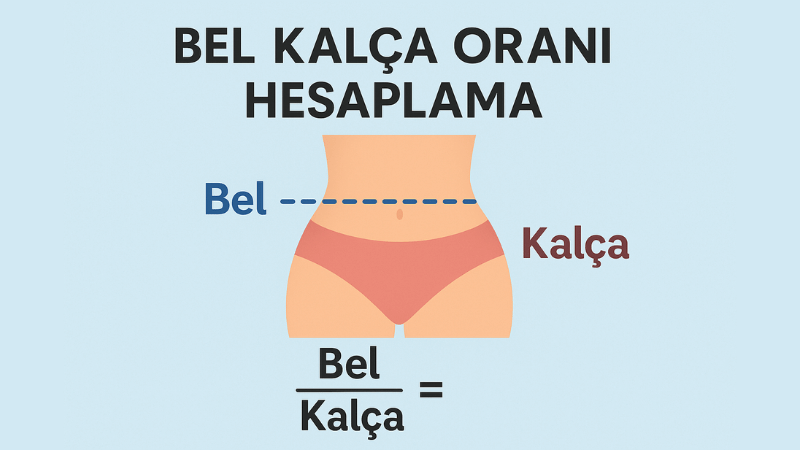 Bel Kalça Oranı Hesaplama