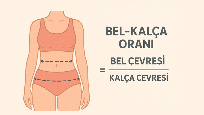 Bel Kalça Oranı Hesaplama