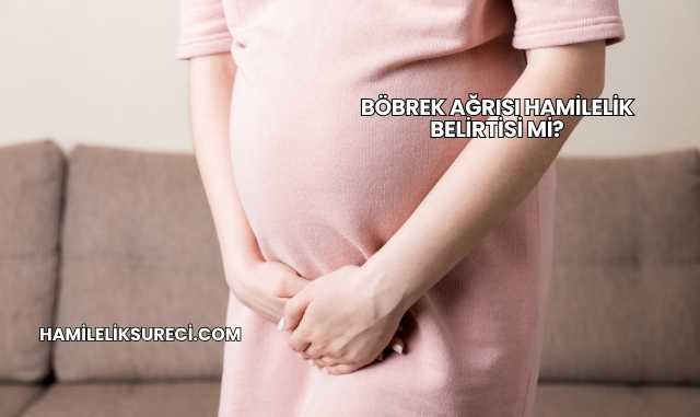 Böbrek Ağrısı Hamilelik Belirtisi mi?