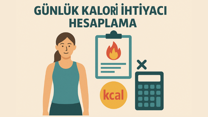 Günlük Kalori İhtiyacı Hesaplama