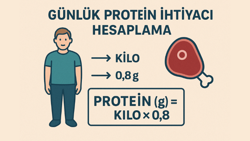 Günlük Protein İhtiyacı Hesaplama