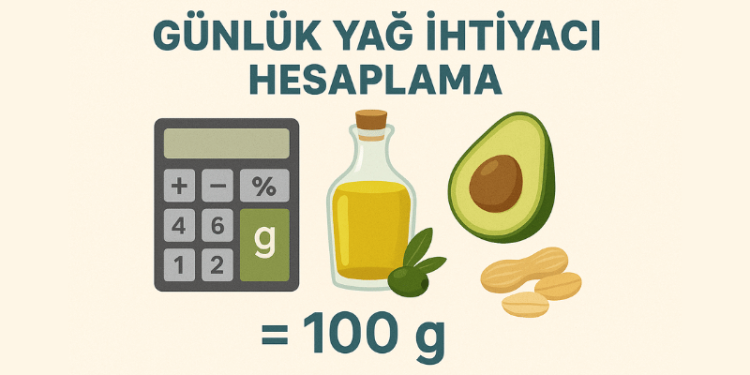 Günlük Yağ İhtiyacı Hesaplama