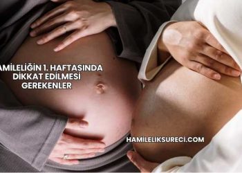 Hamileliğin 1. Haftasında Dikkat Edilmesi Gerekenler