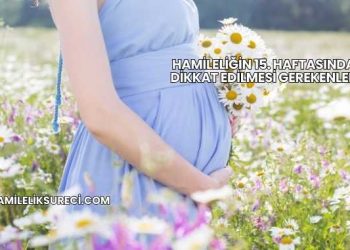 Hamileliğin 15. Haftasında Dikkat Edilmesi Gerekenler
