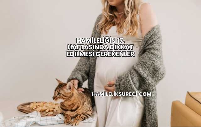 Hamileliğin 17. Haftasında Dikkat Edilmesi Gerekenler