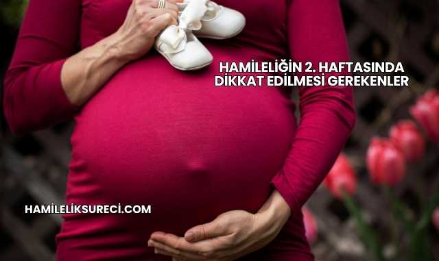 Hamileliğin 2. Haftasında Dikkat Edilmesi Gerekenler