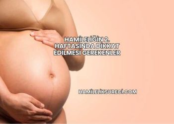 Hamileliğin 2. Haftasında Dikkat Edilmesi Gerekenler