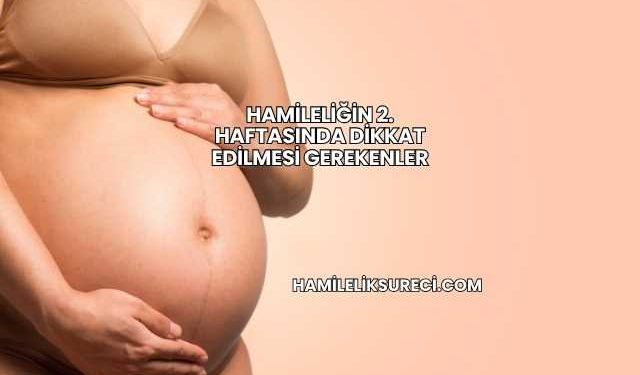 Hamileliğin 2. Haftasında Dikkat Edilmesi Gerekenler