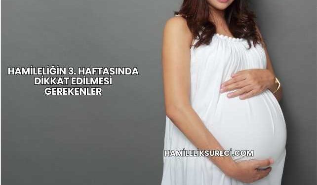 Hamileliğin 3. Haftasında Dikkat Edilmesi Gerekenler