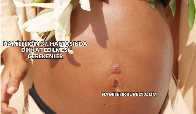 Hamileliğin 37. Haftasında Dikkat Edilmesi Gerekenler