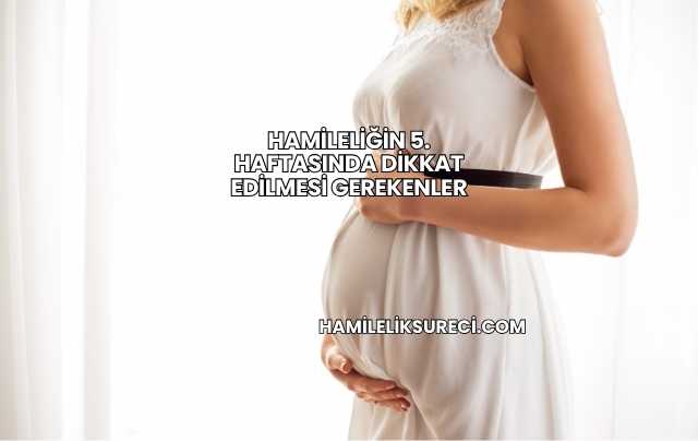 Hamileliğin 5. Haftasında Dikkat Edilmesi Gerekenler