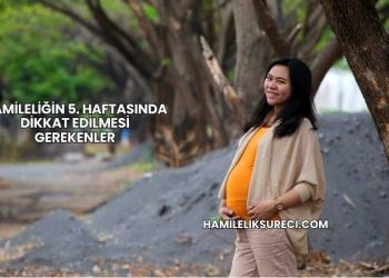 Hamileliğin 5. Haftasında Dikkat Edilmesi Gerekenler