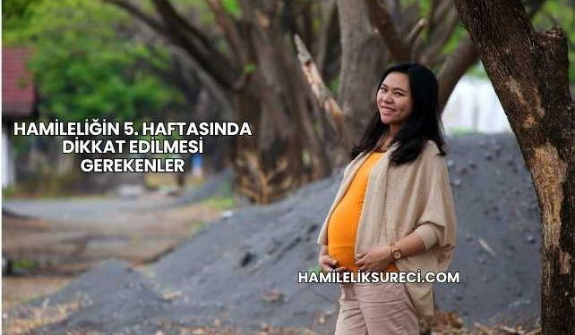 Hamileliğin 5. Haftasında Dikkat Edilmesi Gerekenler