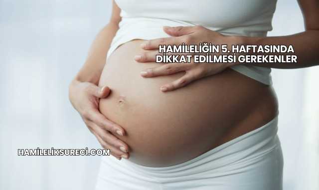 Hamileliğin 5. Haftasında Dikkat Edilmesi Gerekenler