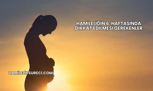 Hamileliğin 6. Haftasında Dikkat Edilmesi Gerekenler