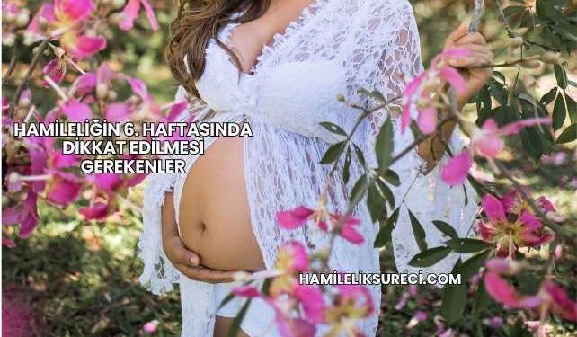 Hamileliğin 6. Haftasında Dikkat Edilmesi Gerekenler
