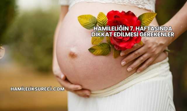 Hamileliğin 7. Haftasında Dikkat Edilmesi Gerekenler