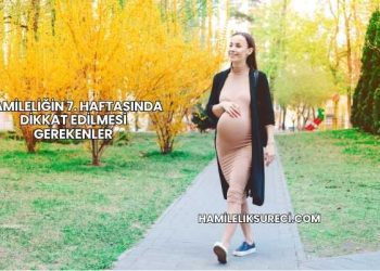 Hamileliğin 7. Haftasında Dikkat Edilmesi Gerekenler