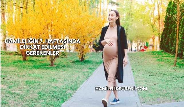 Hamileliğin 7. Haftasında Dikkat Edilmesi Gerekenler