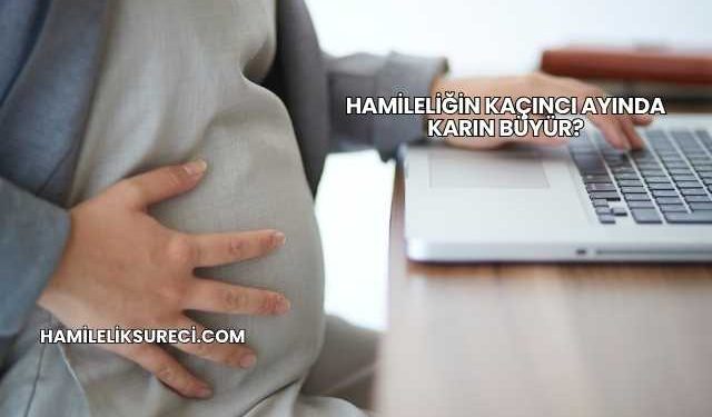 Hamileliğin Kaçıncı Ayında Karın Büyür?