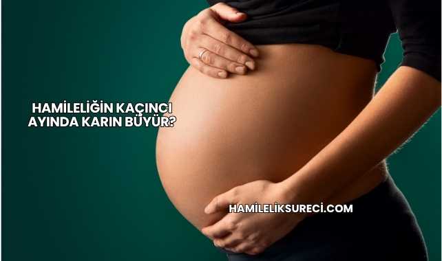 Hamileliğin Kaçıncı Ayında Karın Büyür?