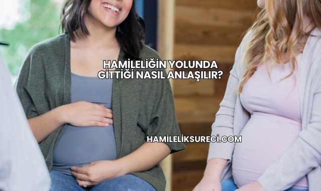 Hamileliğin Yolunda Gittiği Nasıl Anlaşılır?
