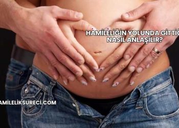 Hamileliğin Yolunda Gittiği Nasıl Anlaşılır?