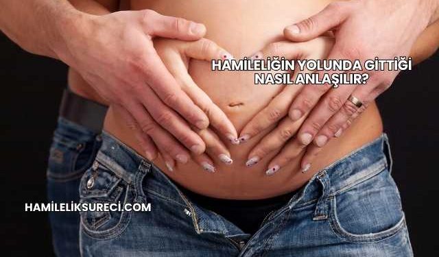 Hamileliğin Yolunda Gittiği Nasıl Anlaşılır?